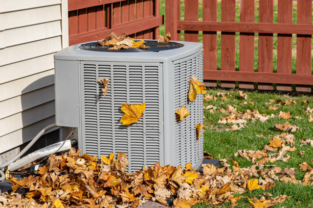 Best Air Quality Test  in Ellsworth, WI